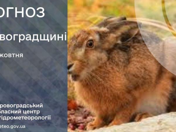 Новина Прогноз погоди на 31 жовтня по Кіровоградщині Ранкове місто. Кропивницький