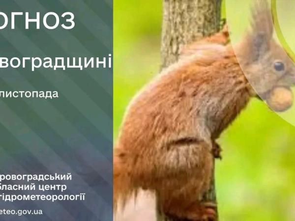 Новина Прогноз погоди на 11 листопада по Кіровоградщині Ранкове місто. Кропивницький