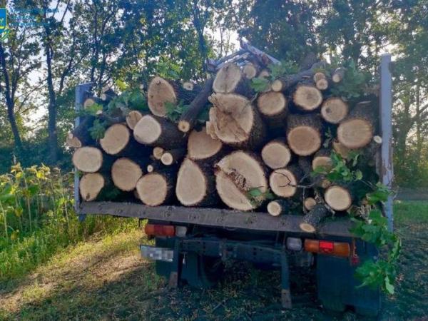 Новина Наніс збитки довкіллю на суму понад 200 тисяч гривень Ранкове місто. Кропивницький