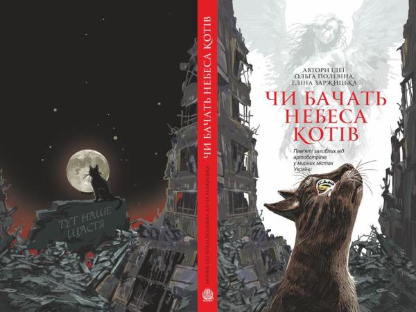 Стаття «Книгороздуми» - роман про романи Ранкове місто. Кропивницький